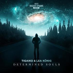 Listen to Determined Souls song with lyrics from Tigaiko