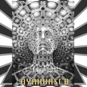 ดาวน์โหลดและฟังเพลง Ayahuasca (Afro Edit) พร้อมเนื้อเพลงจาก Alex Parlunger