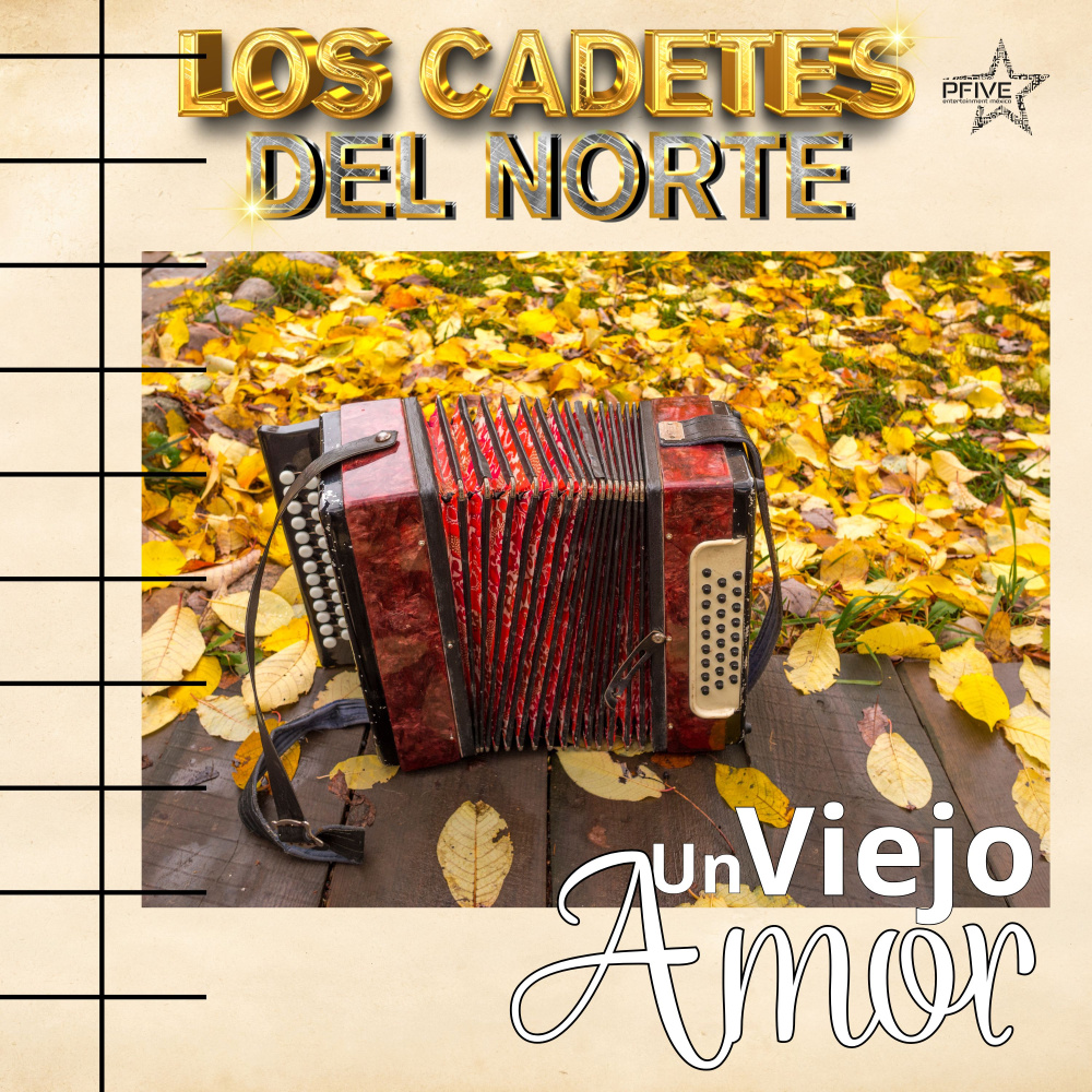 Un Viejo Amor