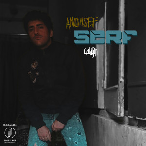 Listen to Serf (Explicit) song with lyrics from Amonsef