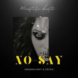 Listen to No-Say song with lyrics from AmandaLight