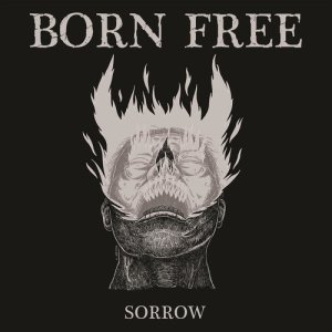 ดาวน์โหลดและฟังเพลง Sorrow พร้อมเนื้อเพลงจาก Born Free