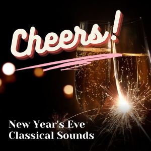 Album Cheers! New Year's Eve Classical Sounds from Joseph Alenin