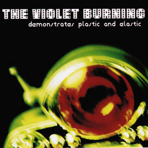 Album Demonstrates Plastic and Elastic from The Violet Burning
