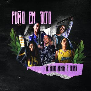 Album Puño en alto (Explicit) oleh Alika