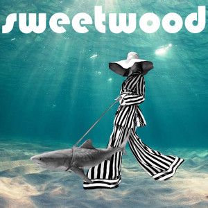 Sweetwood的專輯One Of These Days