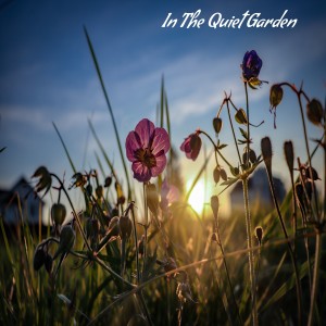 Listen to In The Quiet Garden song with lyrics from Angie Hawke
