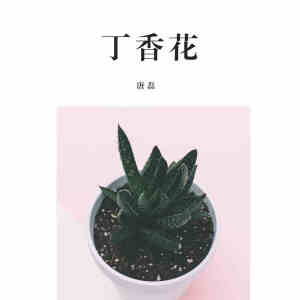 丁香花