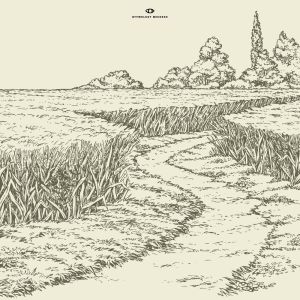 收聽Notation的Ambient Peace歌詞歌曲