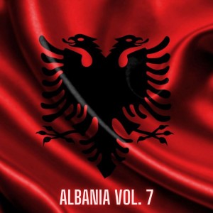 Ralph Kings的专辑Albania Vol. 7