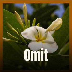 ดาวน์โหลดและฟังเพลง Just Spirit พร้อมเนื้อเพลงจาก Miln Leagh