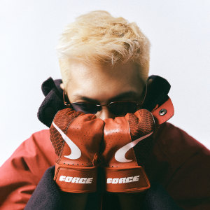 Listen to VISION song with lyrics from Lickone