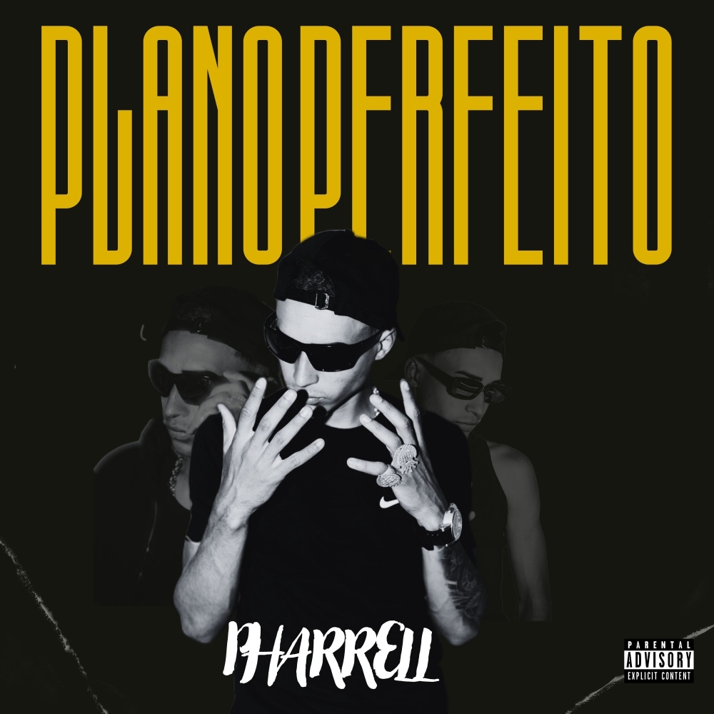 Plano Perfeito