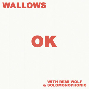 收聽Wallows的OK (with Remi Wolf & Solomonophonic)歌詞歌曲
