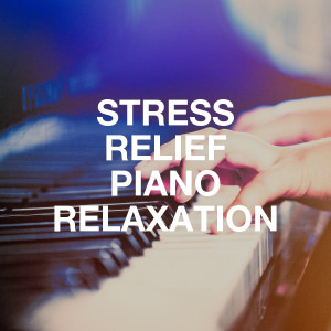 Album Stress Relief Piano Relaxation from Classical New Age Piano Music