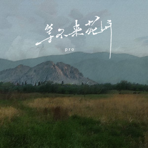 Dengarkan 等不来花开 (DJ版) lagu dari pro dengan lirik