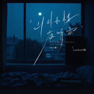 lucky小阳的专辑山外小楼夜听雨（DJ小阳降调版）