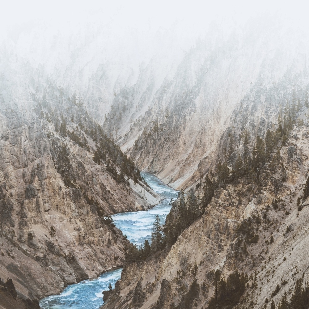 North