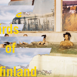 Dengarkan The Birds of Finland lagu dari Conner Youngblood dengan lirik