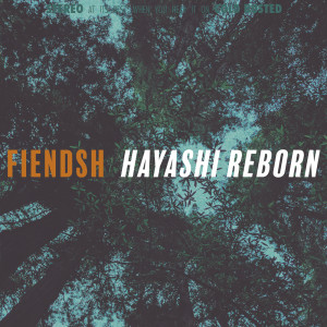 ดาวน์โหลดและฟังเพลง Why I Care พร้อมเนื้อเพลงจาก Fiendsh