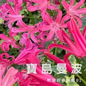 Album 宝岛曼波 (群星经典演唱02) from 雨樺