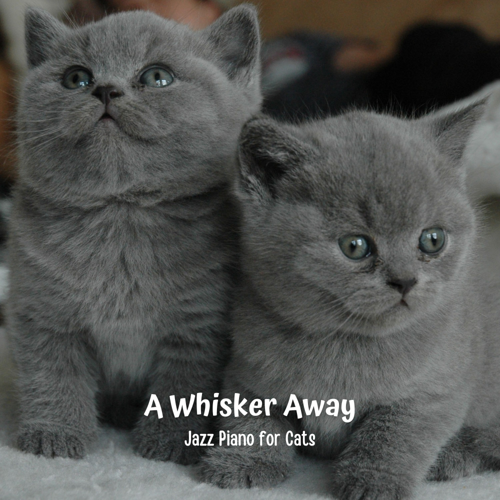 Twin Felines Melody