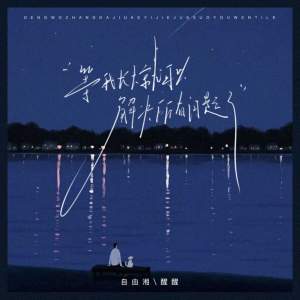 Listen to 等我长大就可以解决所有的问题了 (伴奏) song with lyrics from 自由湘