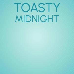 Various的专辑Toasty Midnight