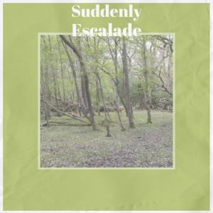 Listen to Suddenly Escalade song with lyrics from Hery Aire