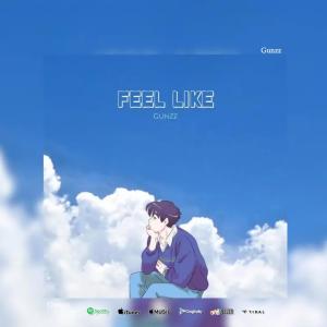 收聽Gunzz的Feel Like (Explicit)歌詞歌曲