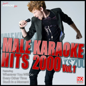 ดาวน์โหลดและฟังเพลง Hero (In the Style of Enrique Iglesias) [Karaoke Version] (Karaoke Version) พร้อมเนื้อเพลงจาก Ameritz Karaoke Hits
