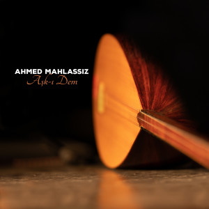 Listen to Bir Zalime song with lyrics from Ahmed Mahlassız