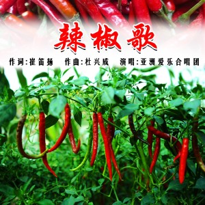 Album 辣椒歌 from 亚洲爱乐合唱团