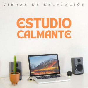 Estudio Brillante的專輯Vibras De Relajación: Estudio Calmante