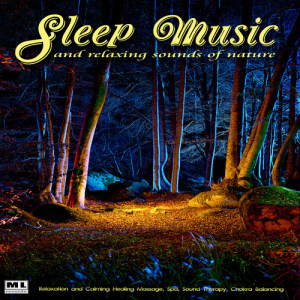 Listen to Sleep song with lyrics from Lullabies for Deep Meditation