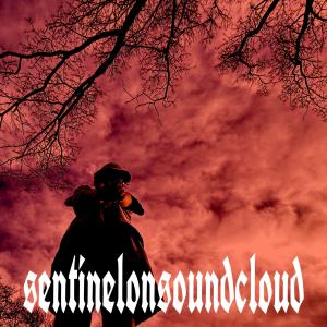 Sentinel的專輯Sentinel on Soundcloud (Explicit)