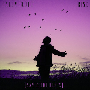 收聽Calum Scott的Rise (Sam Feldt Remix)歌詞歌曲