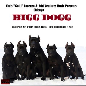 Chris "Gotti" Lorenzo的專輯Bigg Dogg - Chicago