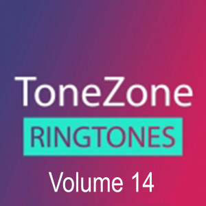 Sunfly的專輯Tonezone, Vol. 14