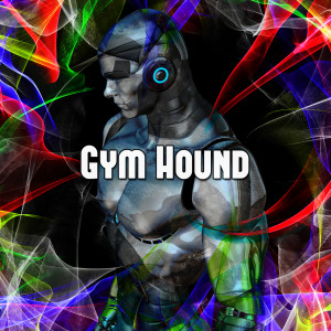 收聽Gym Music的Is This What You Came For歌詞歌曲
