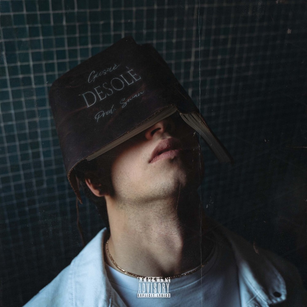 Desolé (Explicit)