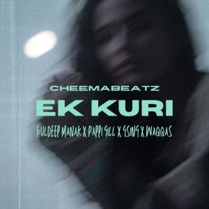 Waqqas的專輯Ek Kuri (feat. Pappi Gill & Gsing)