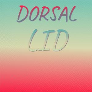 Album Dorsal Lid from Various Artists