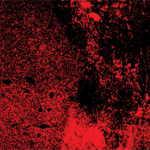 ดาวน์โหลดและฟังเพลง Desease (Explicit) พร้อมเนื้อเพลงจาก Artemisa