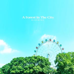 Album A Forest In The City oleh Blooming