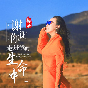 Listen to 谢谢你走进我生命中 song with lyrics from 梅朵