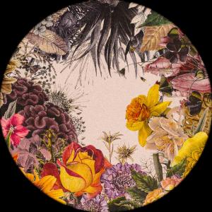 ดาวน์โหลดและฟังเพลง omnipresent (Explicit) พร้อมเนื้อเพลงจาก Drodozer