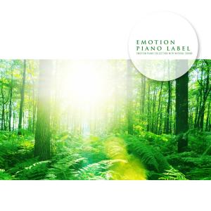 Various Artists的專輯Emotion Piano Collection With Natural Sound (Nature Ver.)