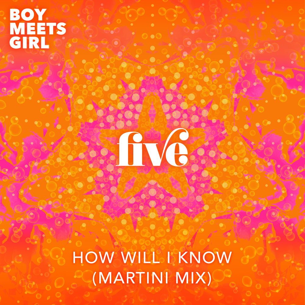 How Will I Know (Martini Mix)