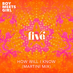 อัลบัม How Will I Know (Martini Mix) ศิลปิน Boy Meets Girl